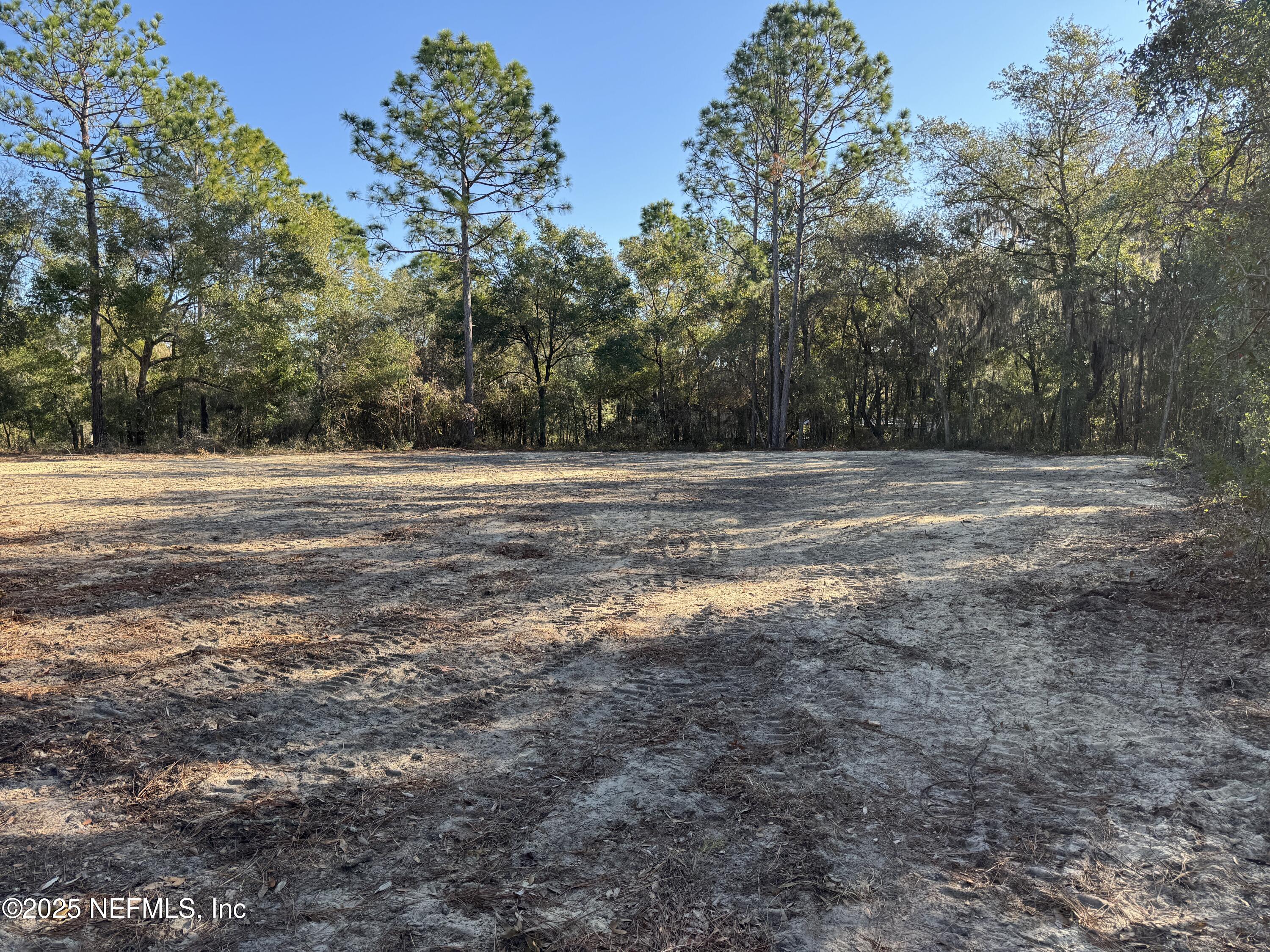 105 Race Street Hawthorne, FL 32640 - Photo 2 of 7 a view of a big yard with plants and large trees