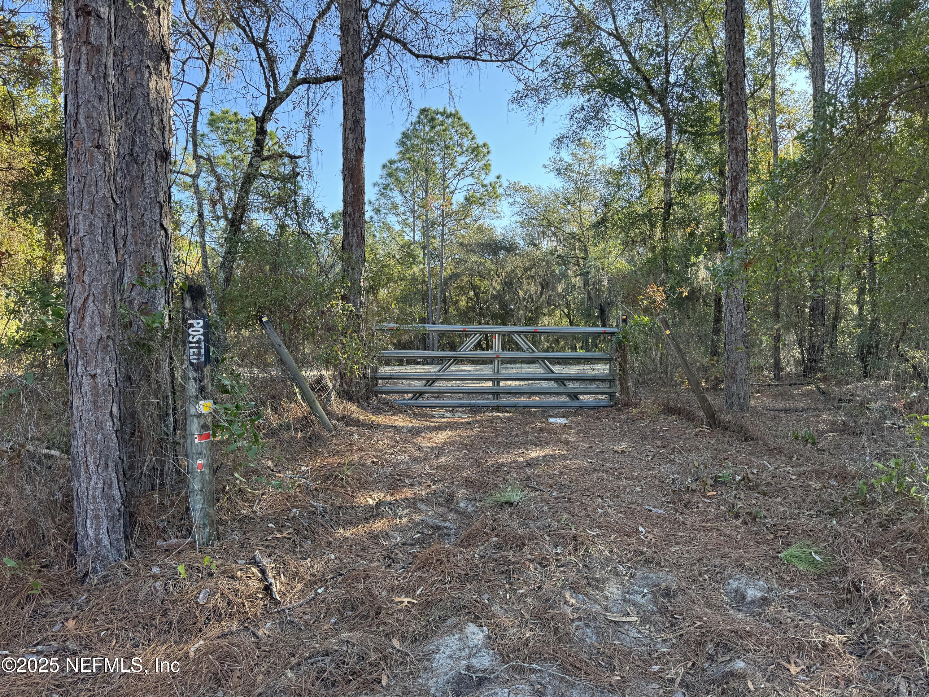 105 Race Street Hawthorne, FL 32640 - Photo 5 of 7 a view of outdoor space and garden