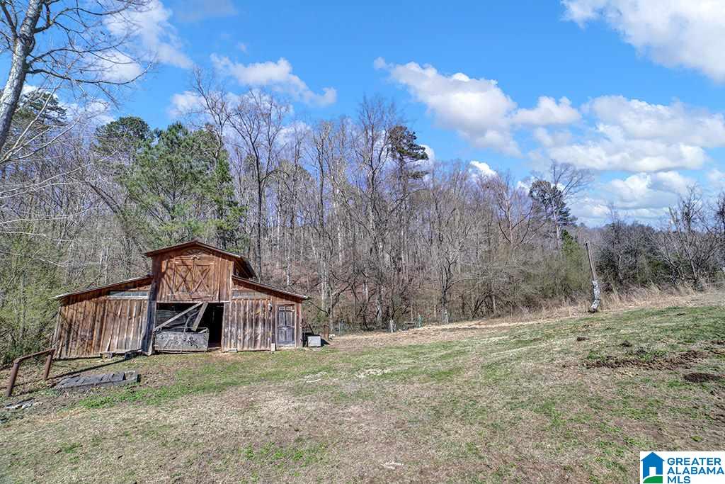 39080 Highway 231 Steele, AL 35987 - Photo 13 of 37