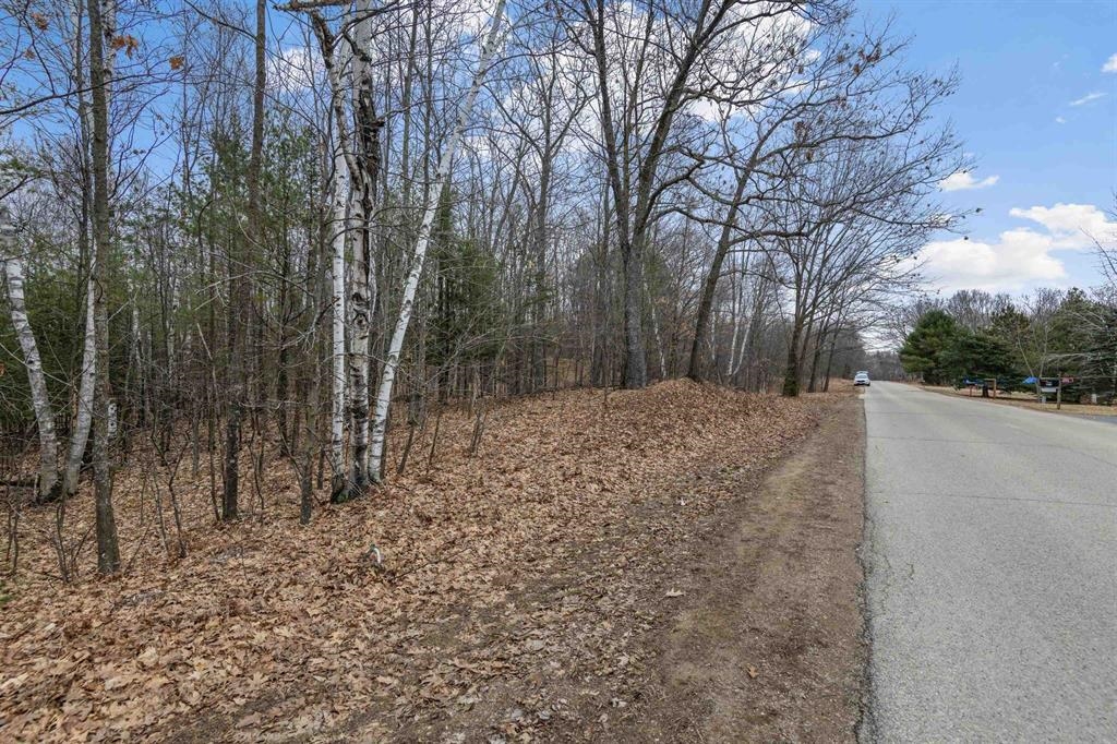 North White Potato Lake Road, Unit 4 Pound, WI 54161 - Photo 12 of 12