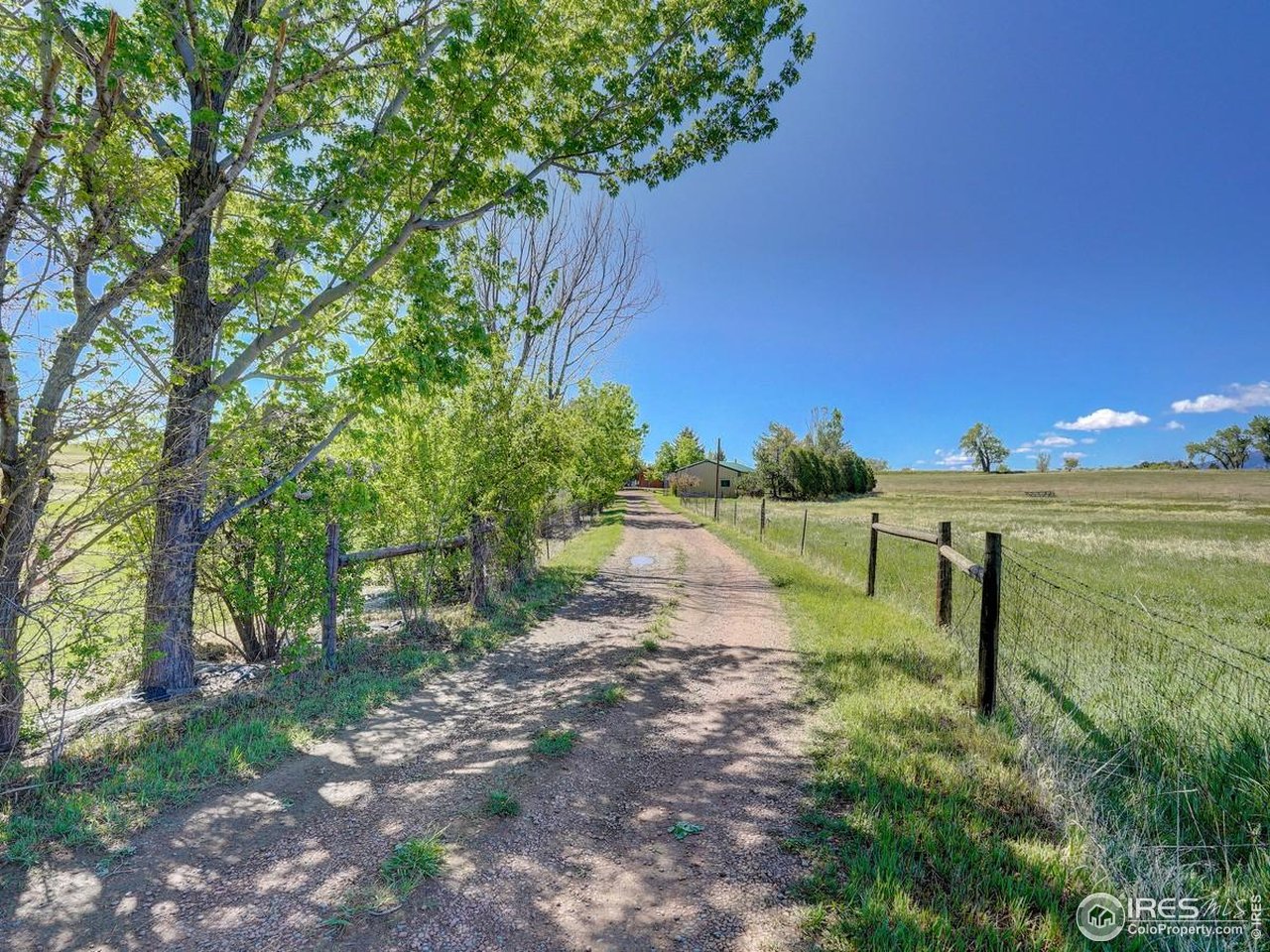5196 Oxford Road Longmont, CO 80503 - Photo 17 of 38 a view of a garden with a houses