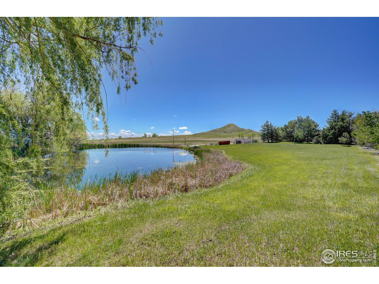 5196 Oxford Road Longmont, CO 80503 - Photo 30 of 38 a view of a lake with a yard