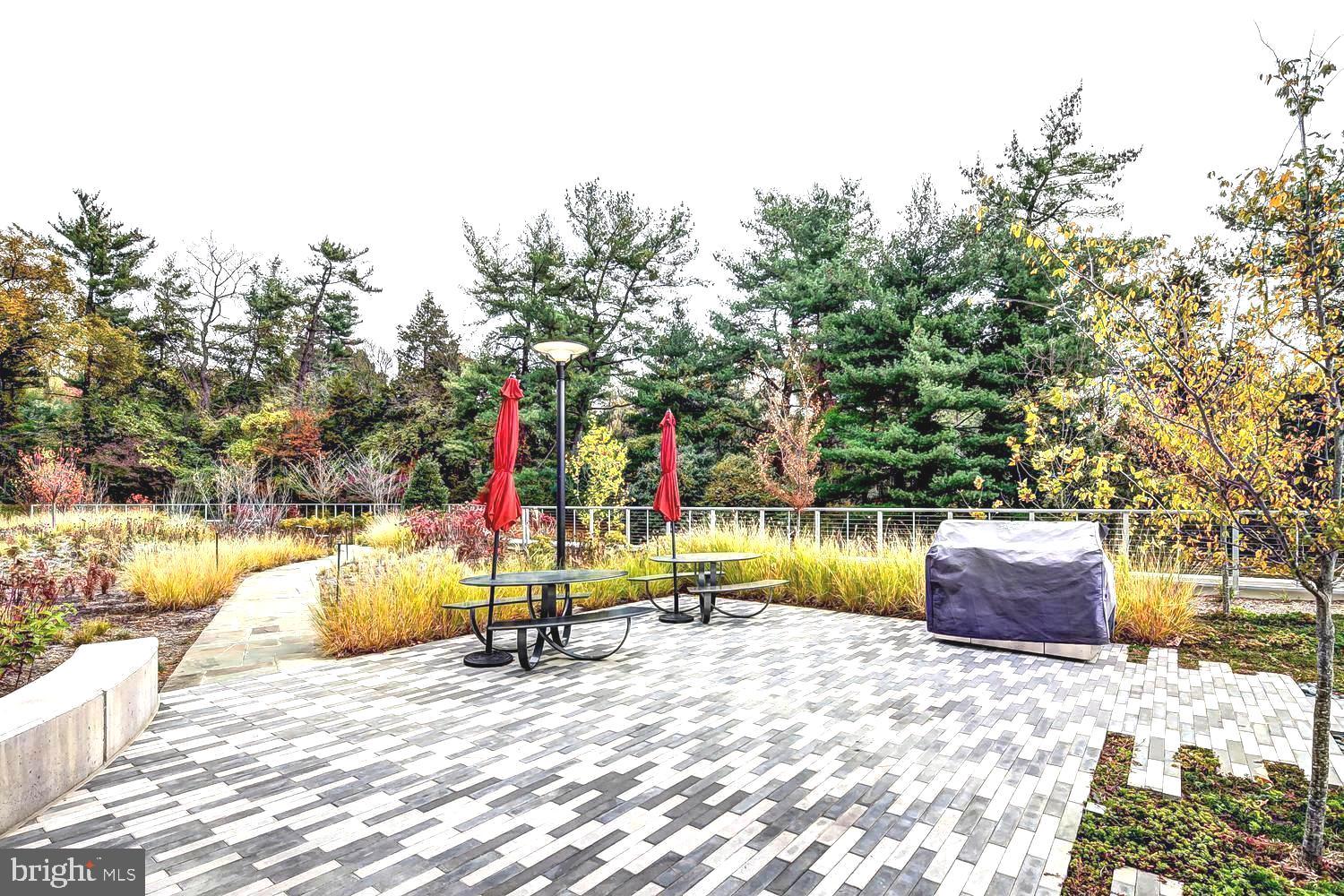 5101 River Road, Unit 1815 Bethesda, MD 20816 - Photo 32 of 35 Picnic Area