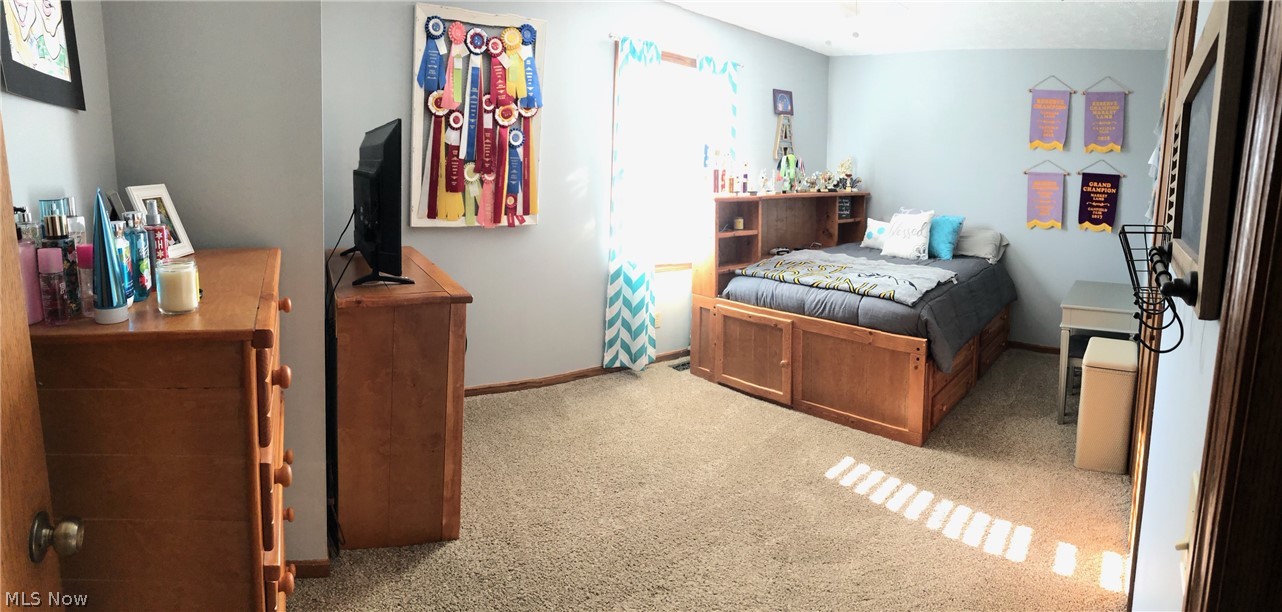17450 Mill Road Berlin Center, OH 44401 - Photo 20 of 23 Gallery Image 20