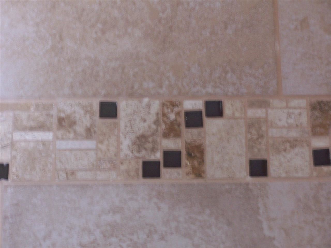 8329 Pilgrim Road Pensacola, FL 32514 - Photo 17 of 38 Tile work at doorways.