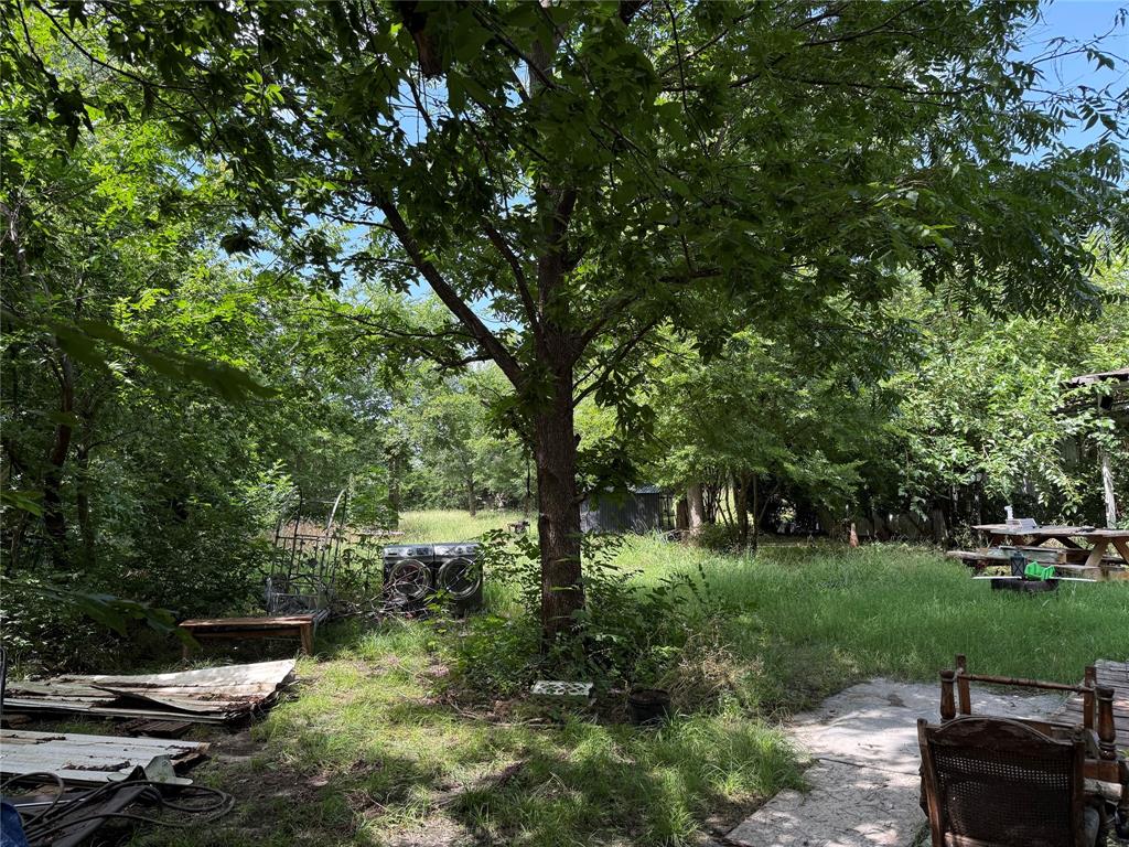 11152 Metz Road Sanger, TX 76266 - Photo 4 of 4 Lots of trees.