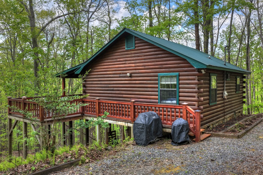 660 Ripshin Mountain Road Blue Ridge, GA 30513 - Photo 2 of 40