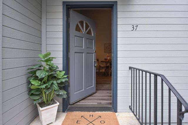 a potted plant sitting in front of a door