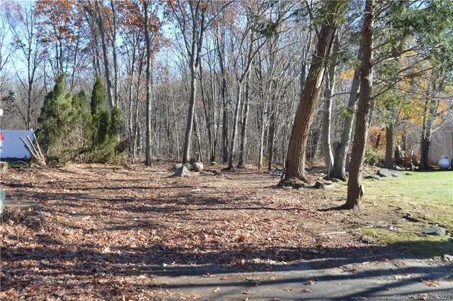 a view of a backyard with large trees