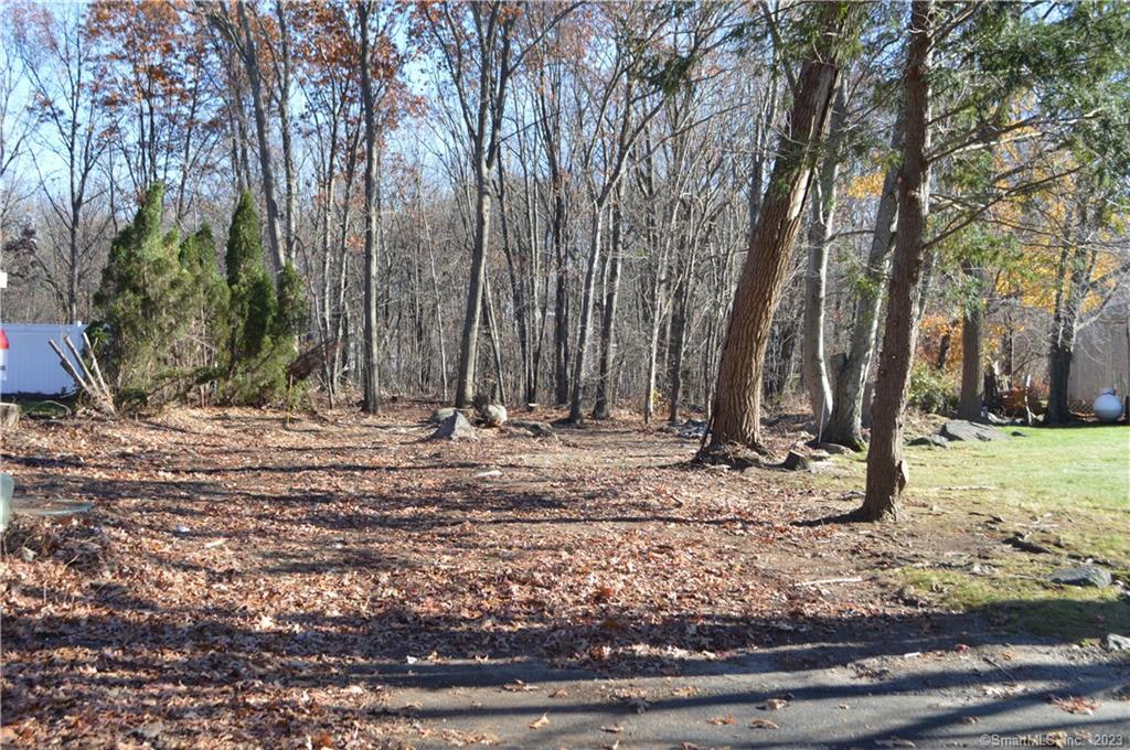Arvida Road Wolcott, CT 06705 - Photo 3 of 7 a view of a backyard with large trees