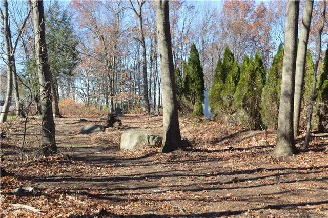 a view of a yard with tree