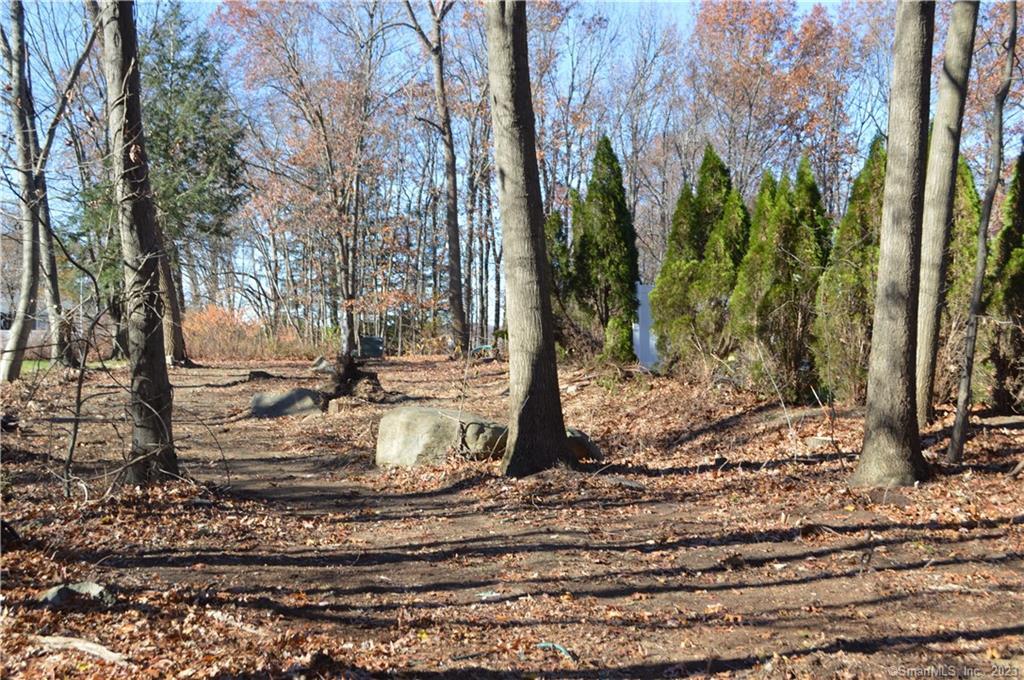 Arvida Road Wolcott, CT 06705 - Photo 4 of 7 a view of a yard with tree