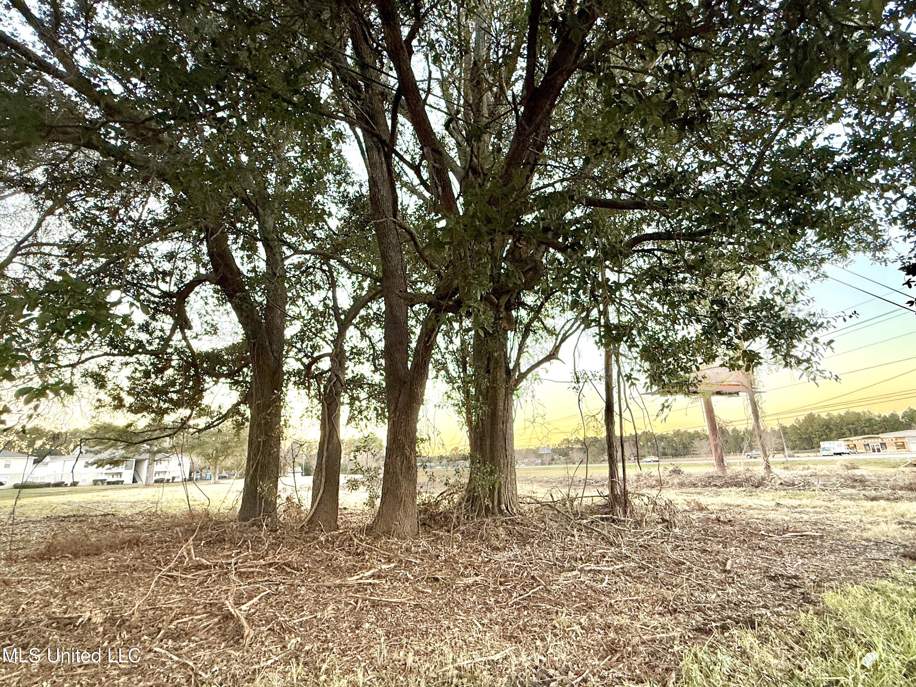 Us-90 Gautier, MS 39553 - Photo 32 of 39 Beasley Rd