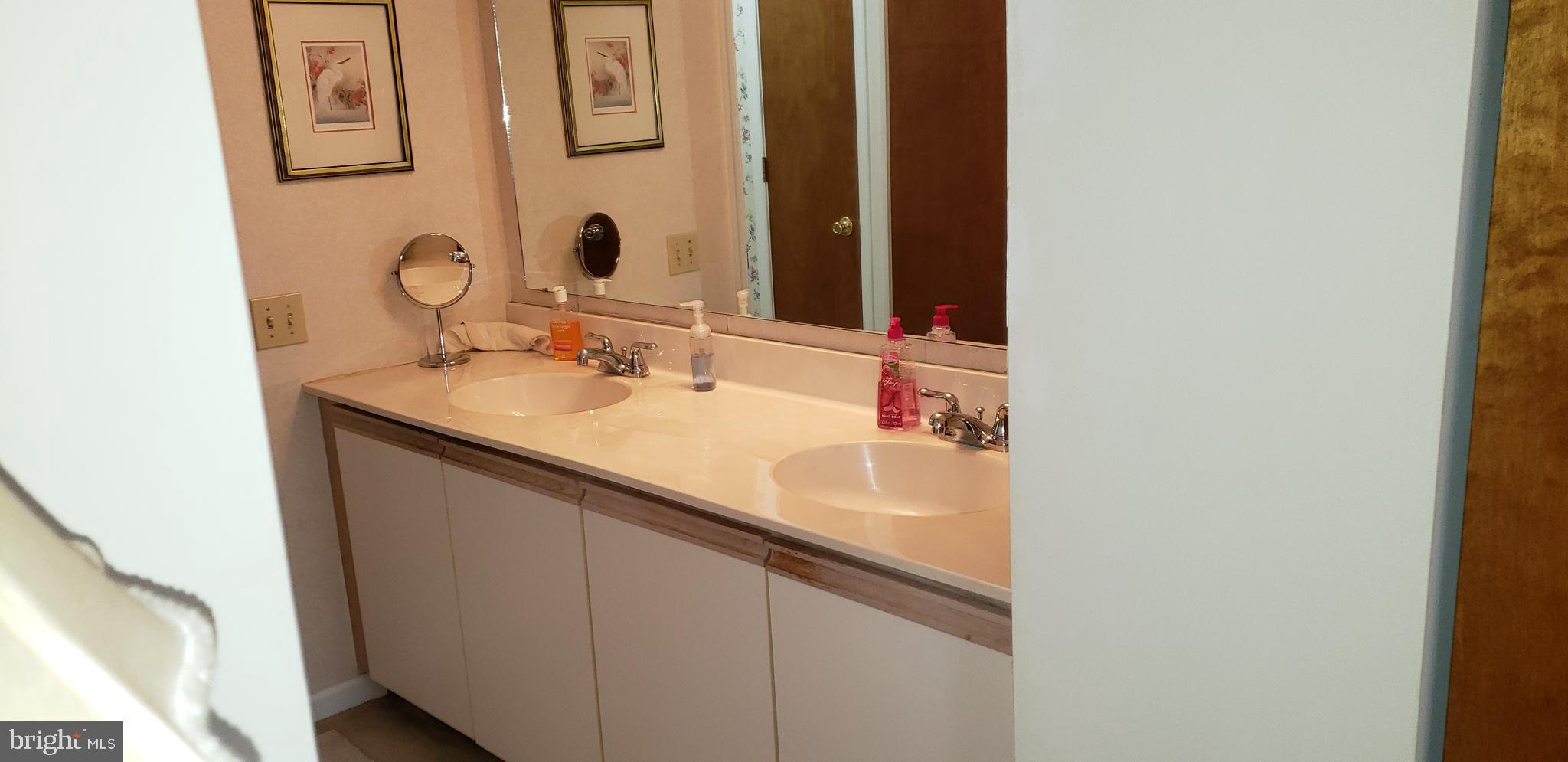 101 Register Drive Newark, DE 19711 - Photo 12 of 21 double vanity in master bath
