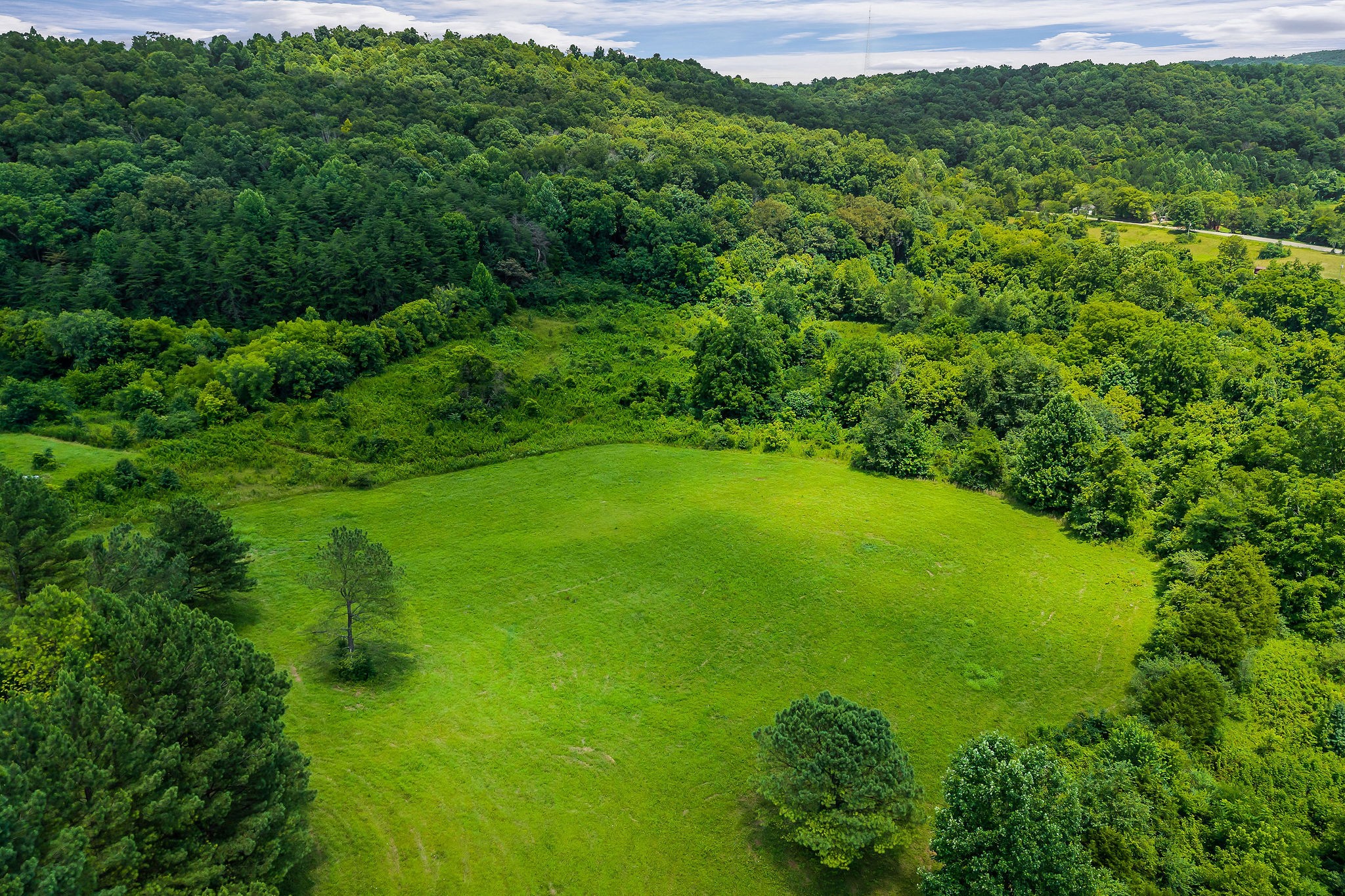0 Clay Holman Road Sparta, TN 38583 - Photo 1 of 16 a view of a garden with a building in the background