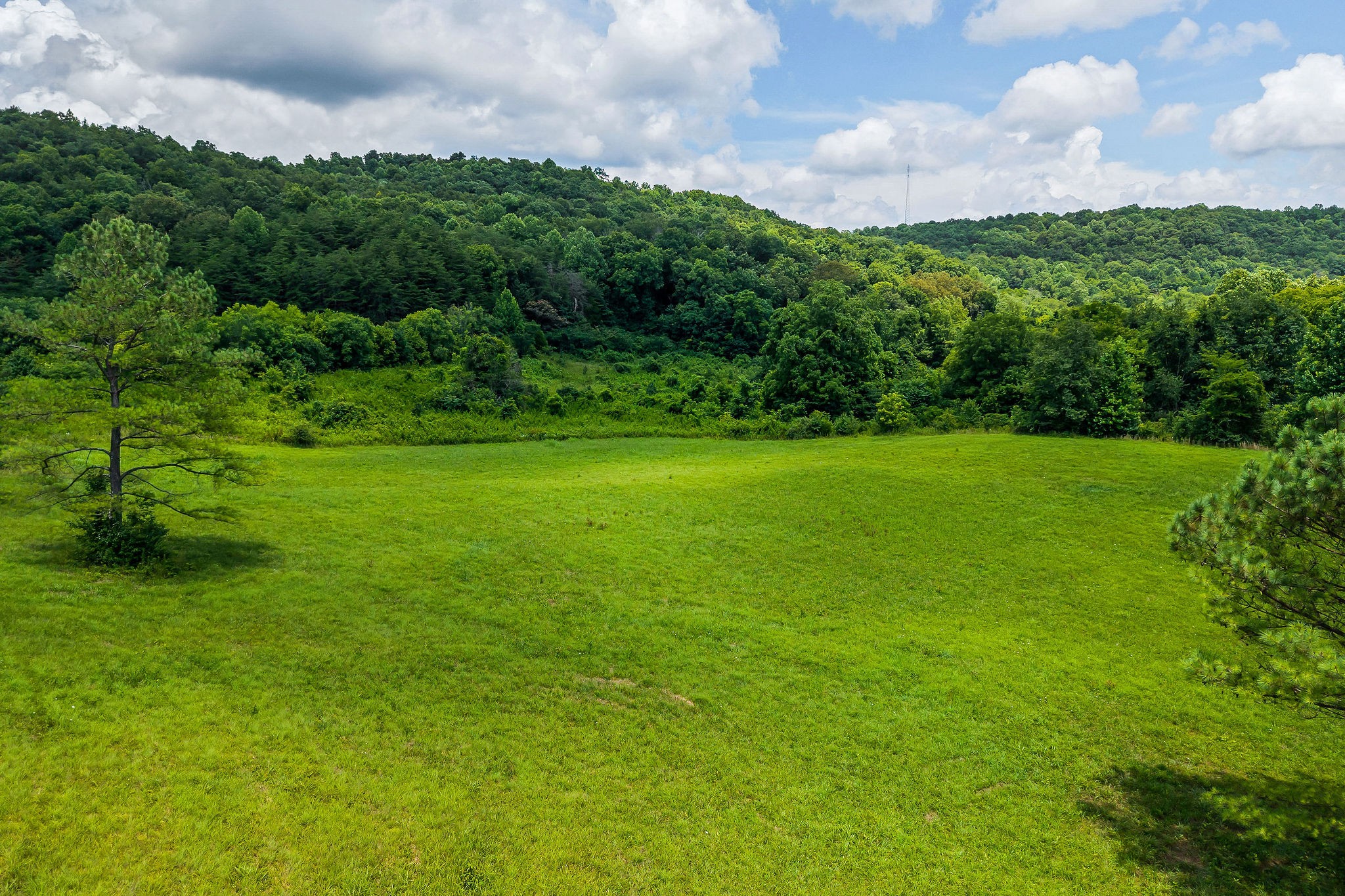 0 Clay Holman Road Sparta, TN 38583 - Photo 11 of 16 a view of a grassy field with trees in the background