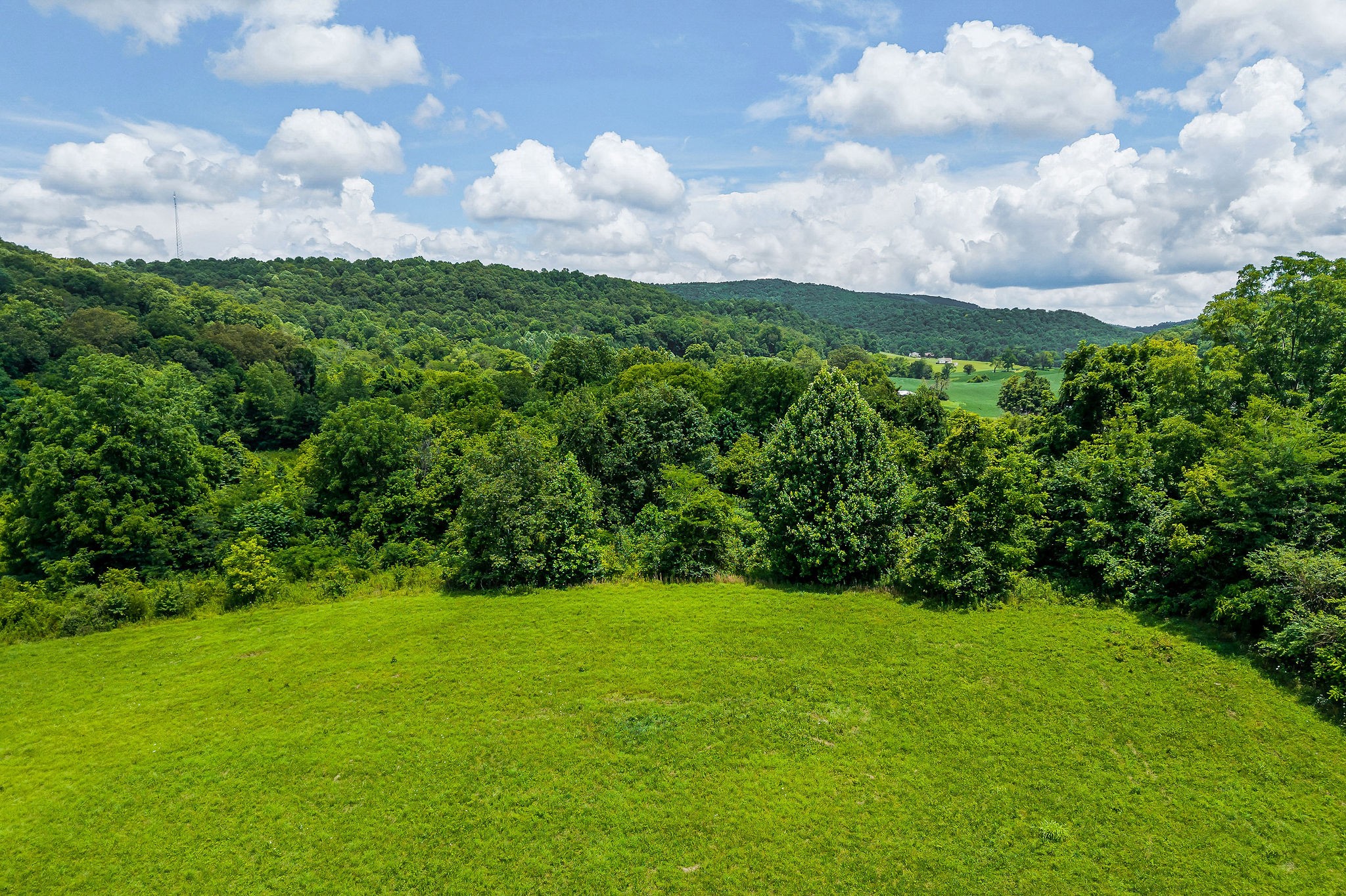 0 Clay Holman Road Sparta, TN 38583 - Photo 12 of 16