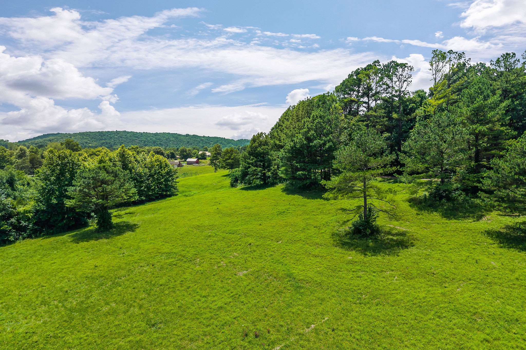 0 Clay Holman Road Sparta, TN 38583 - Photo 13 of 16 a view of a golf course with a lake