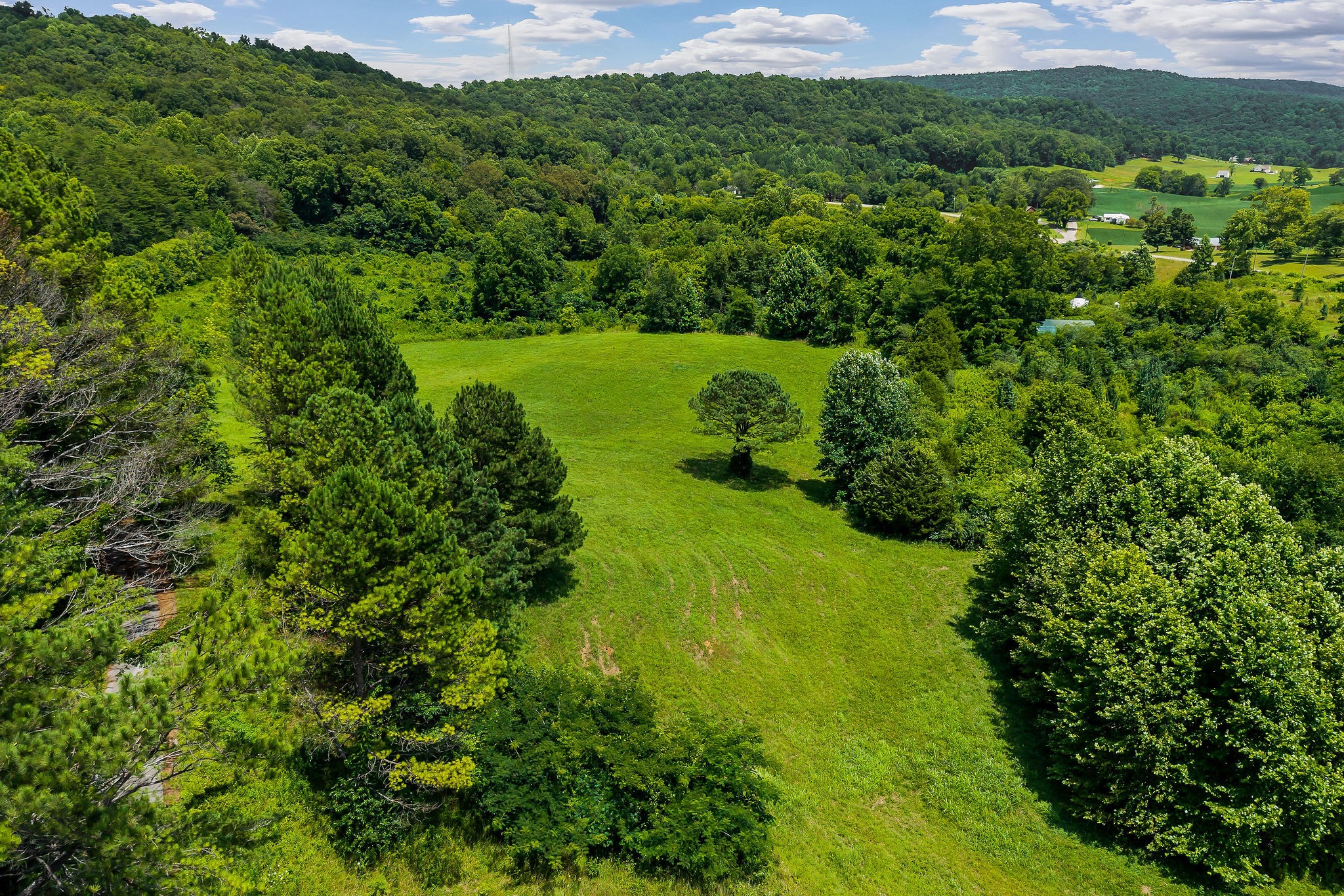 0 Clay Holman Road Sparta, TN 38583 - Photo 14 of 16 a view of a lush green outdoor space with a lake view