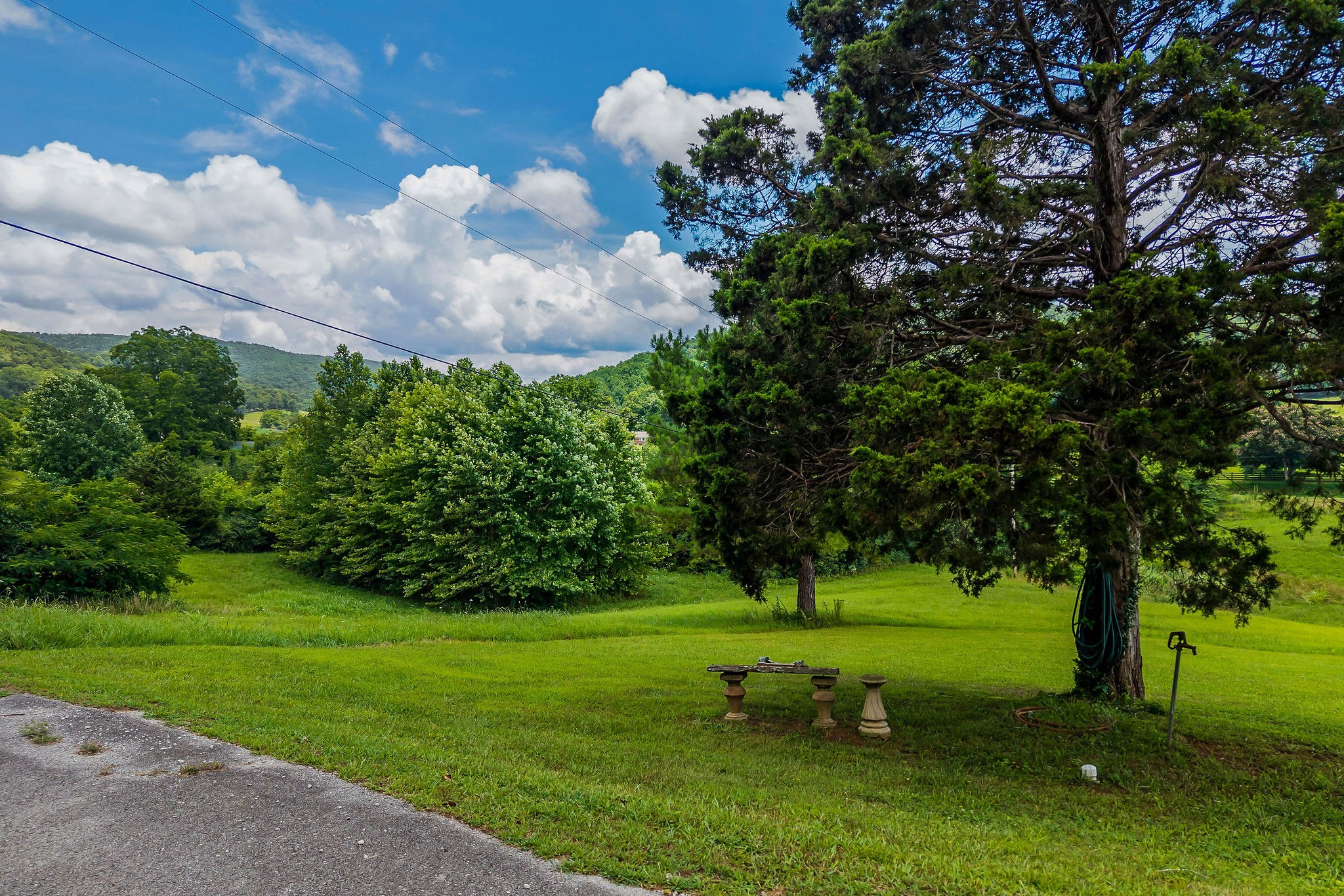 0 Clay Holman Road Sparta, TN 38583 - Photo 2 of 16 a view of a golf course with a garden