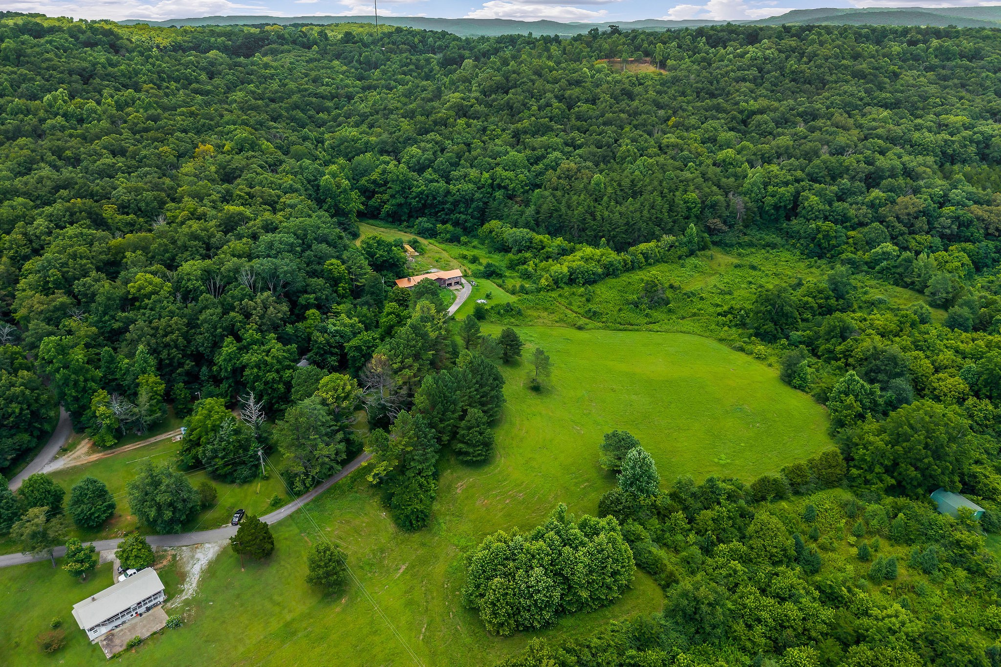 0 Clay Holman Road Sparta, TN 38583 - Photo 3 of 16 a view of a lush green space