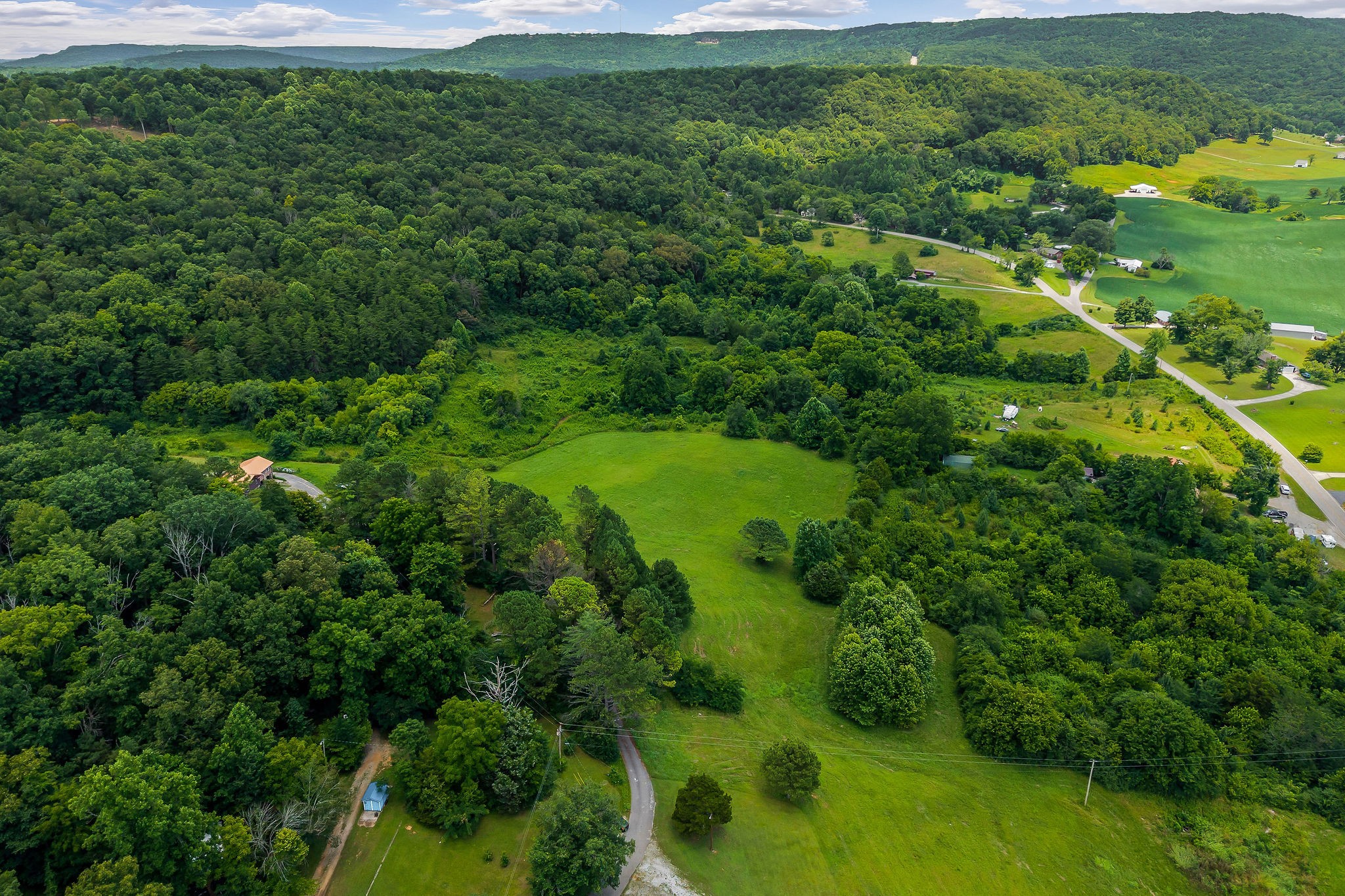 0 Clay Holman Road Sparta, TN 38583 - Photo 5 of 16 a view of a big yard with plants and large trees