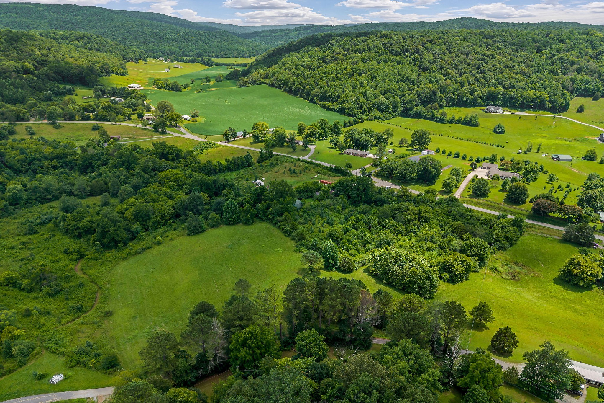 0 Clay Holman Road Sparta, TN 38583 - Photo 6 of 16 a view of a garden with an ocean