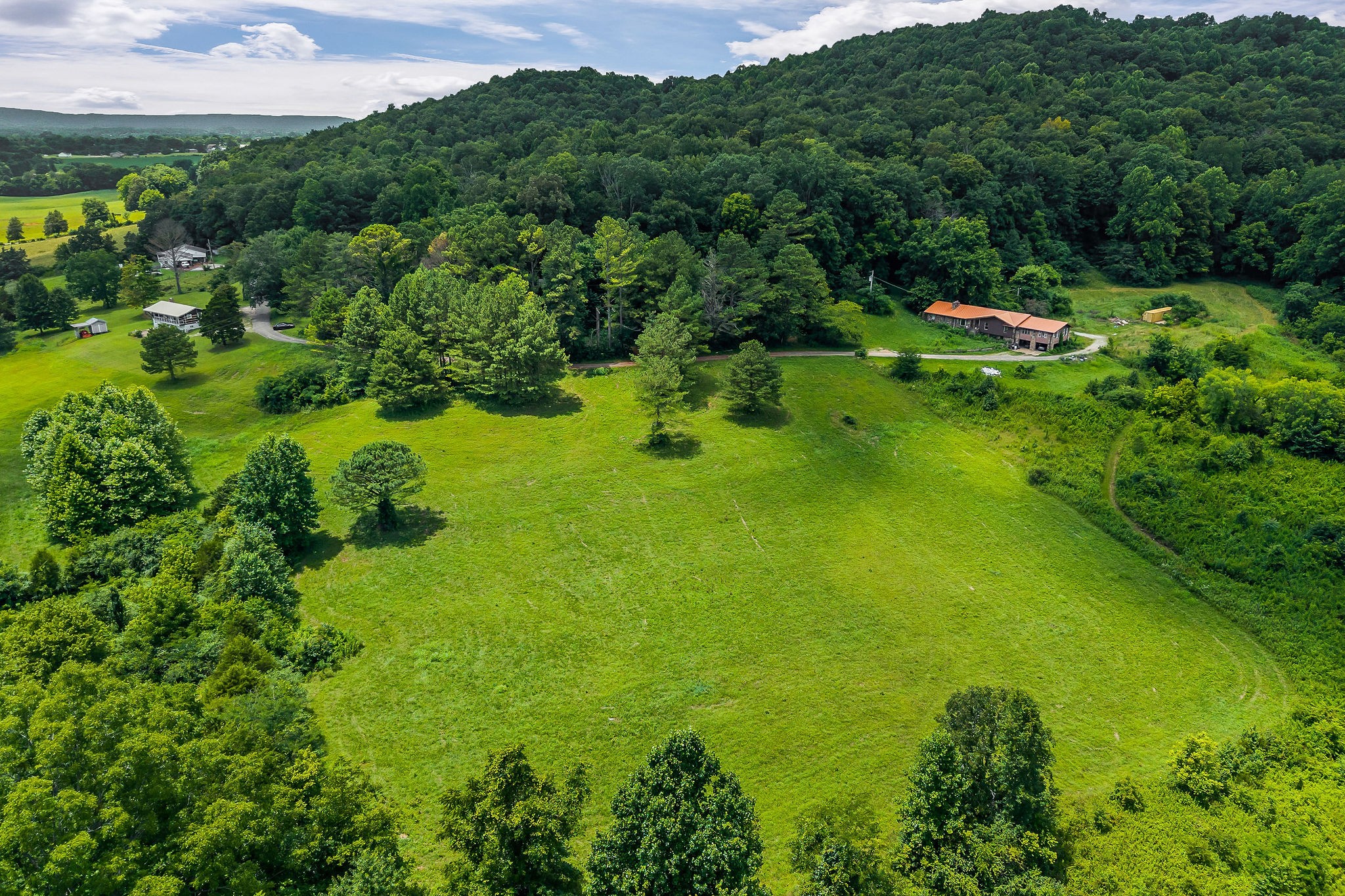 0 Clay Holman Road Sparta, TN 38583 - Photo 10 of 16 a view of a garden with a building in the background