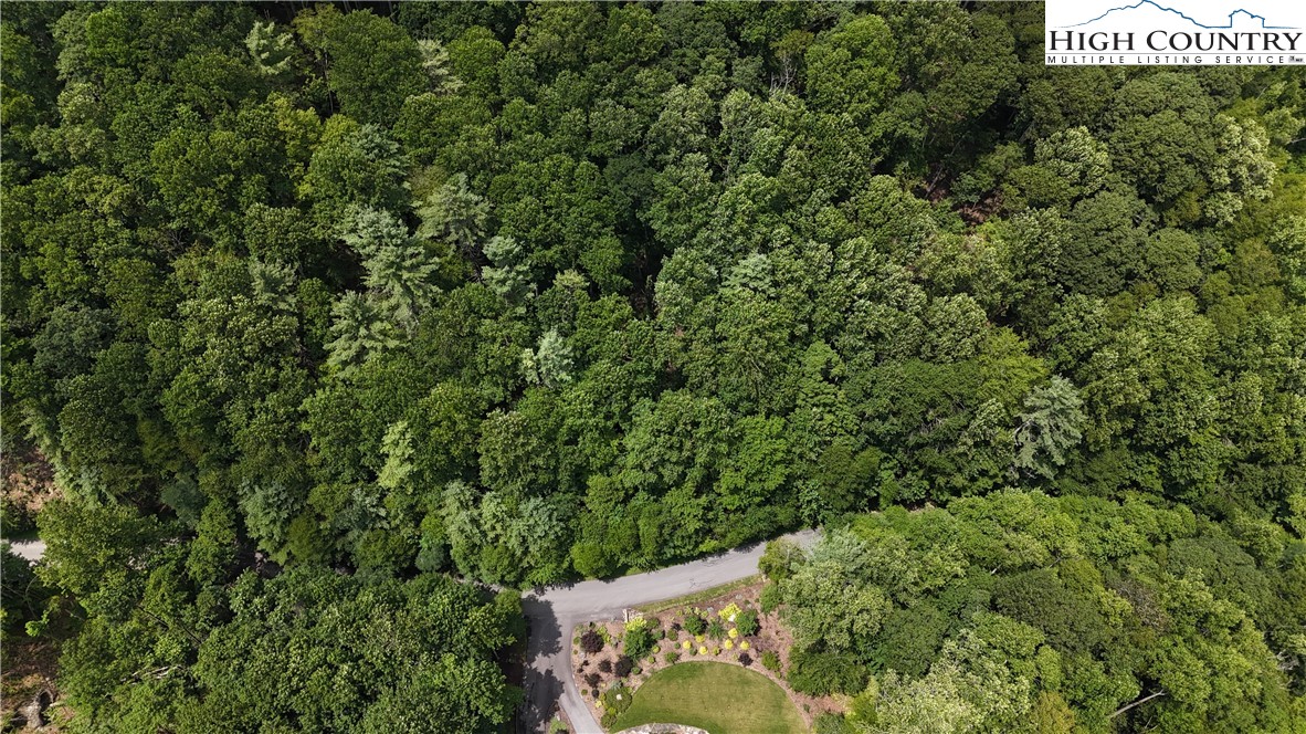Lot 20 Twin Rivers Drive Boone, NC 28607 - Photo 4 of 6 a view of a tree in a yard