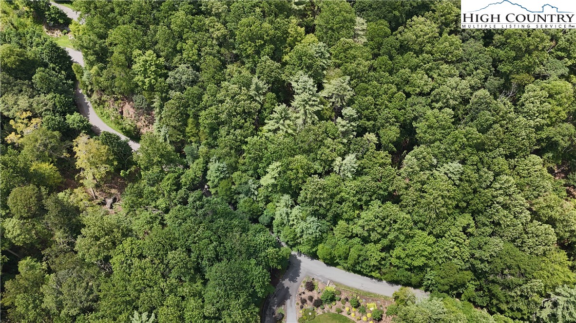 Lot 20 Twin Rivers Drive Boone, NC 28607 - Photo 5 of 6 a view of a forest that has a tree