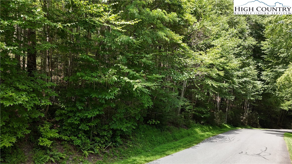 Lot 20 Twin Rivers Drive Boone, NC 28607 - Photo 6 of 6 a view of a sign of a park