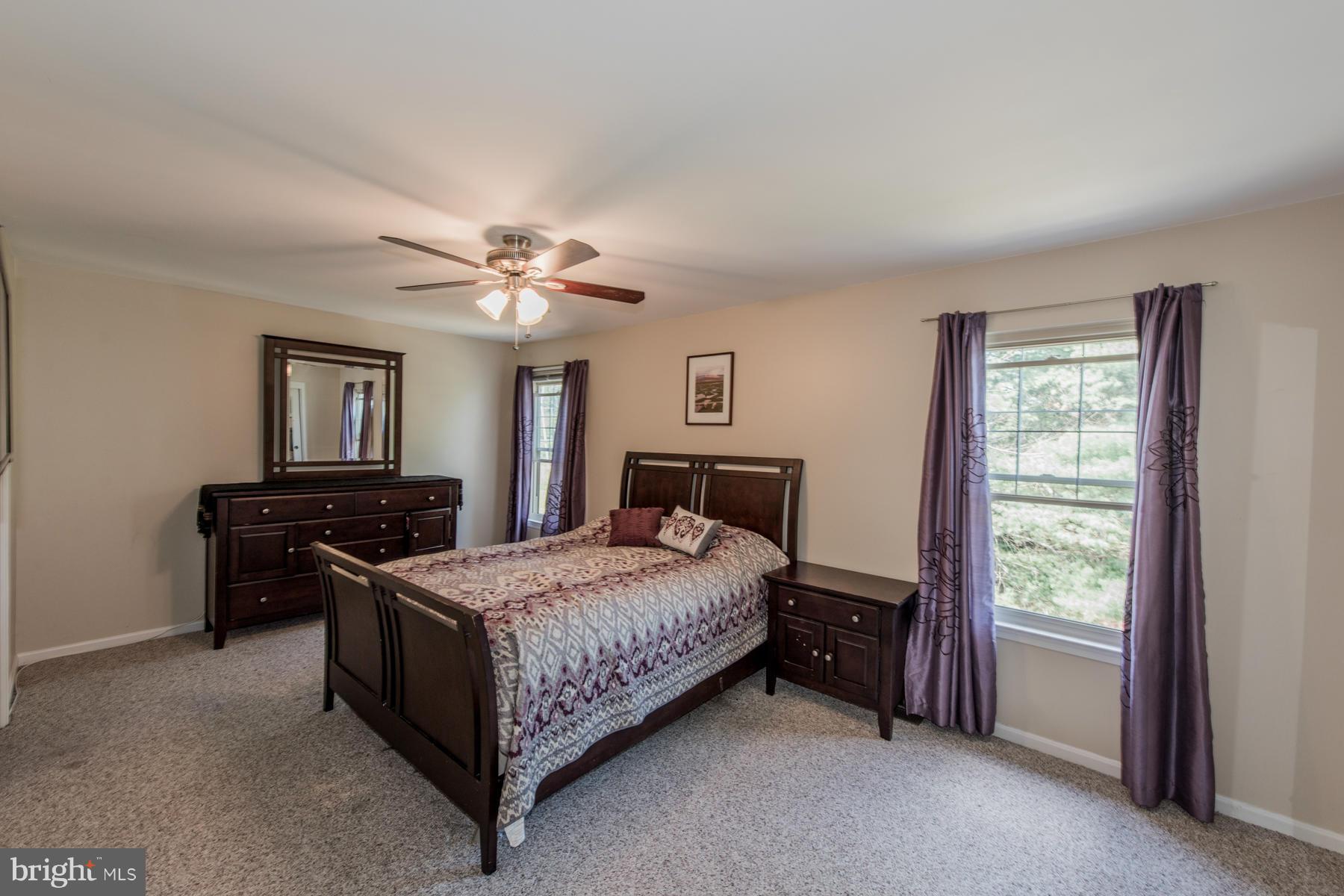 8729 Ruppert Court Ellicott City, MD 21043 - Photo 15 of 30 Owner's Suite