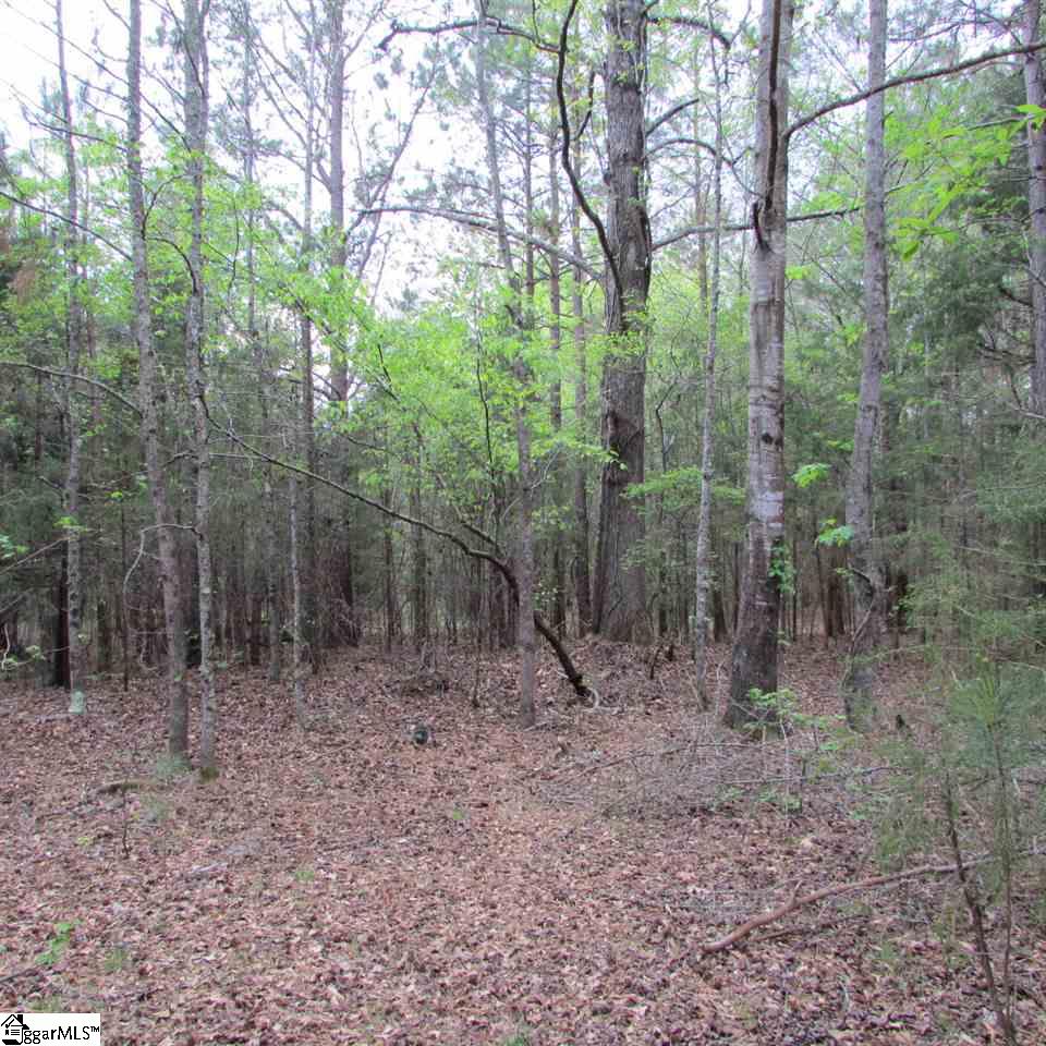 1520 Davis Road Woodruff, SC 29388 - Photo 12 of 26
