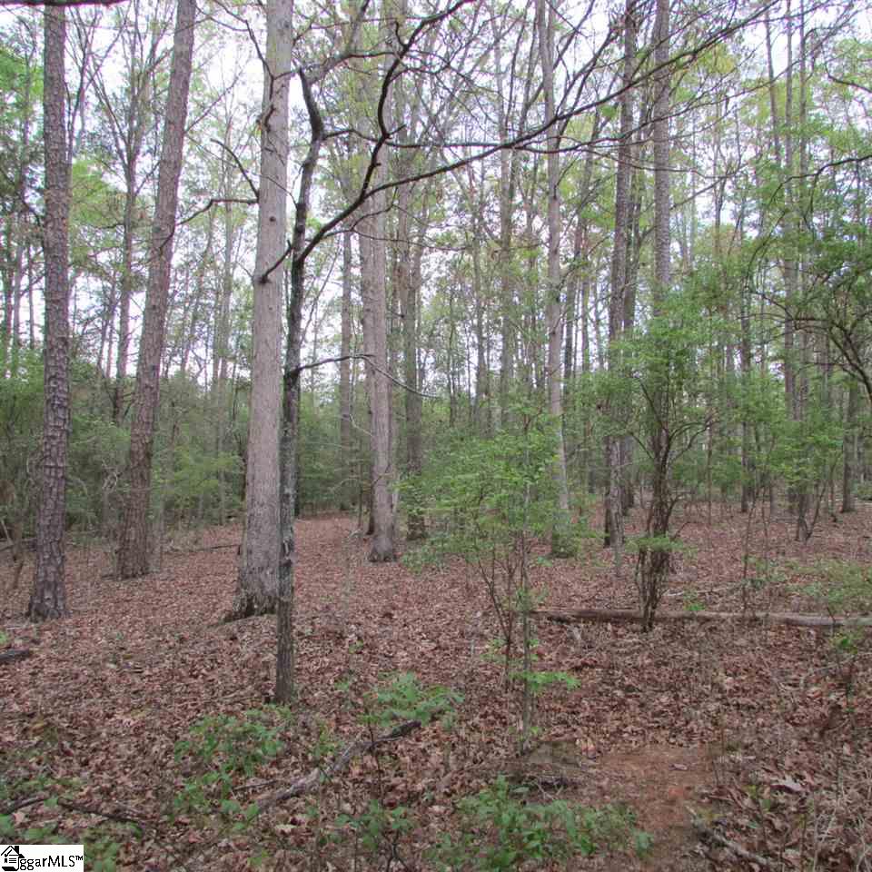 1520 Davis Road Woodruff, SC 29388 - Photo 14 of 26