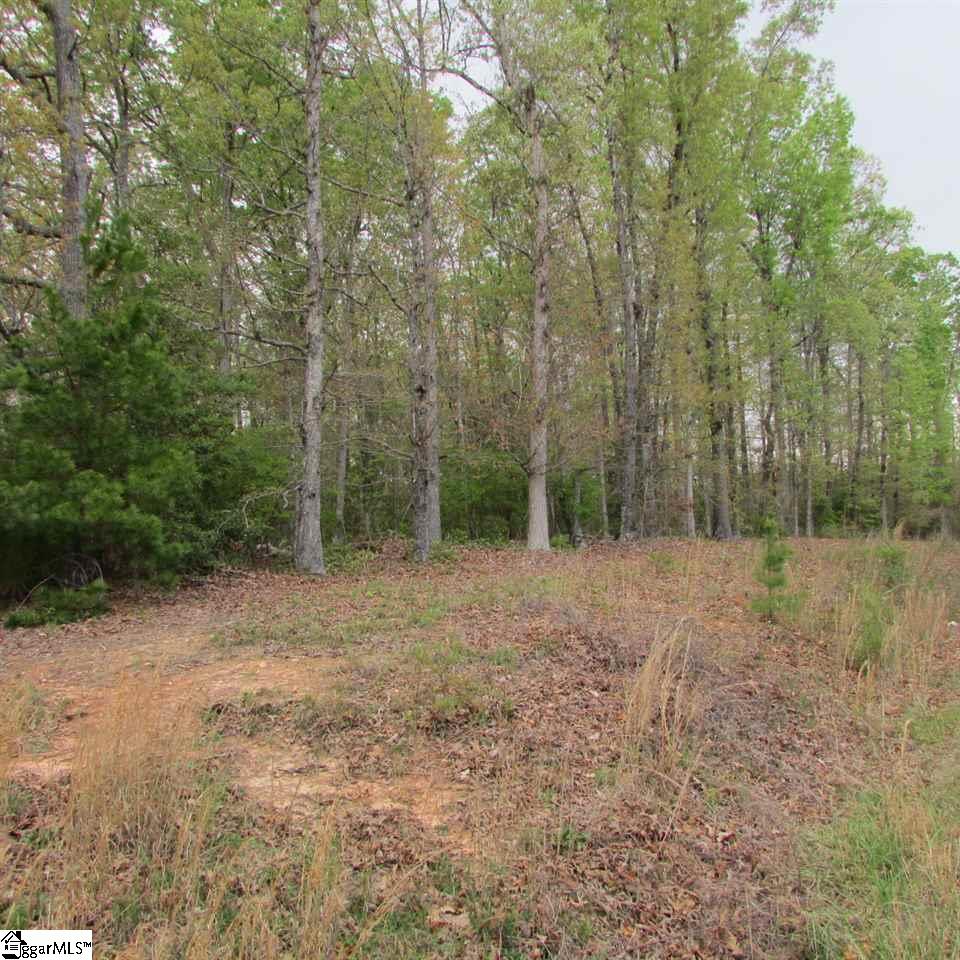 1520 Davis Road Woodruff, SC 29388 - Photo 23 of 26