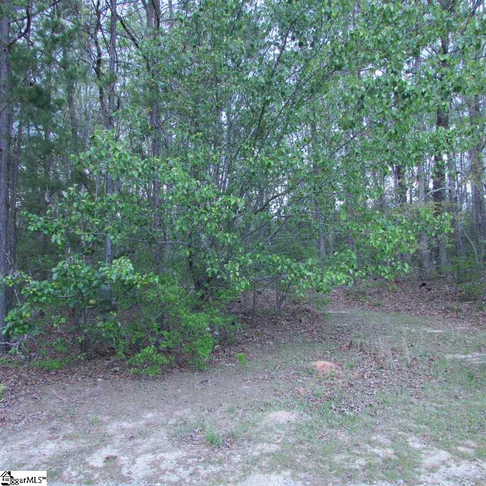 1520 Davis Road Woodruff, SC 29388 - Photo 5 of 26