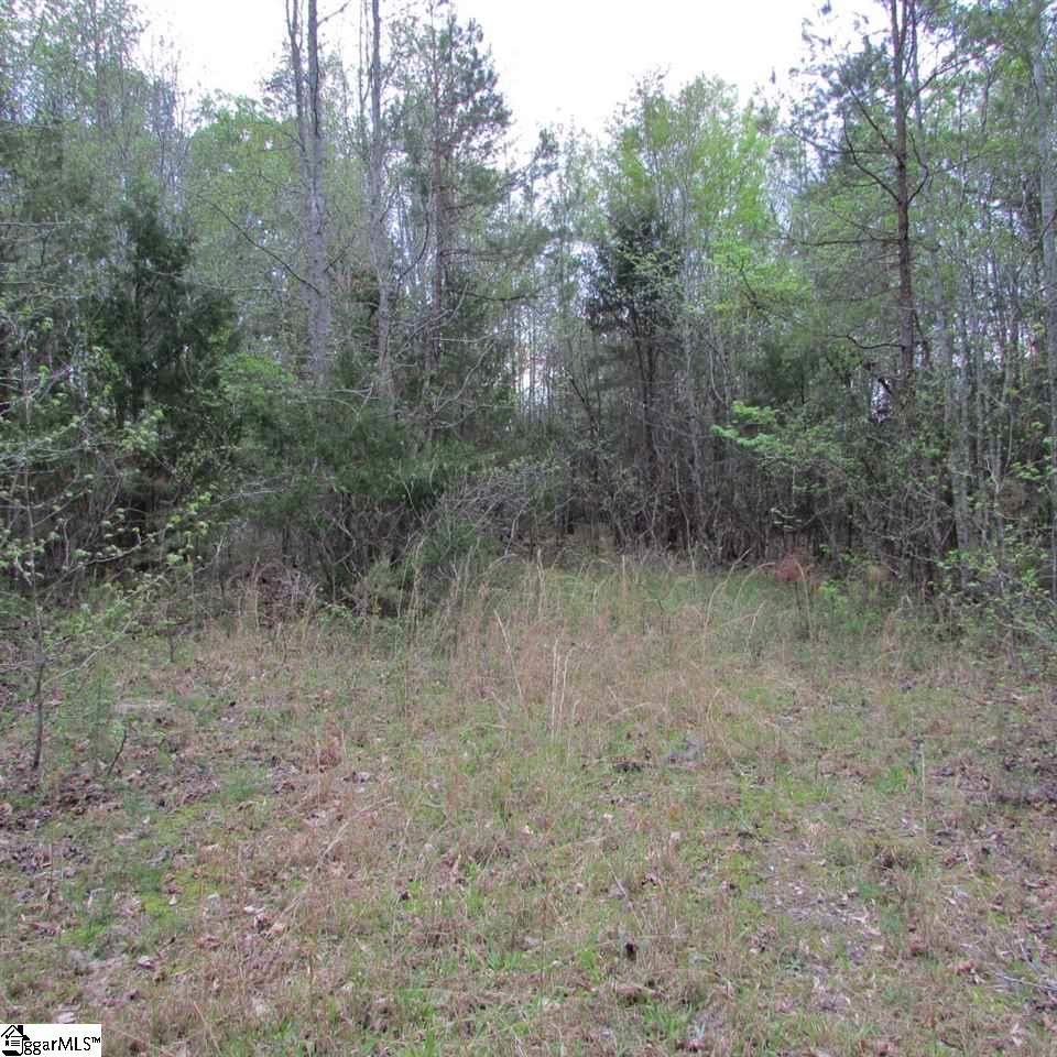 1520 Davis Road Woodruff, SC 29388 - Photo 9 of 26