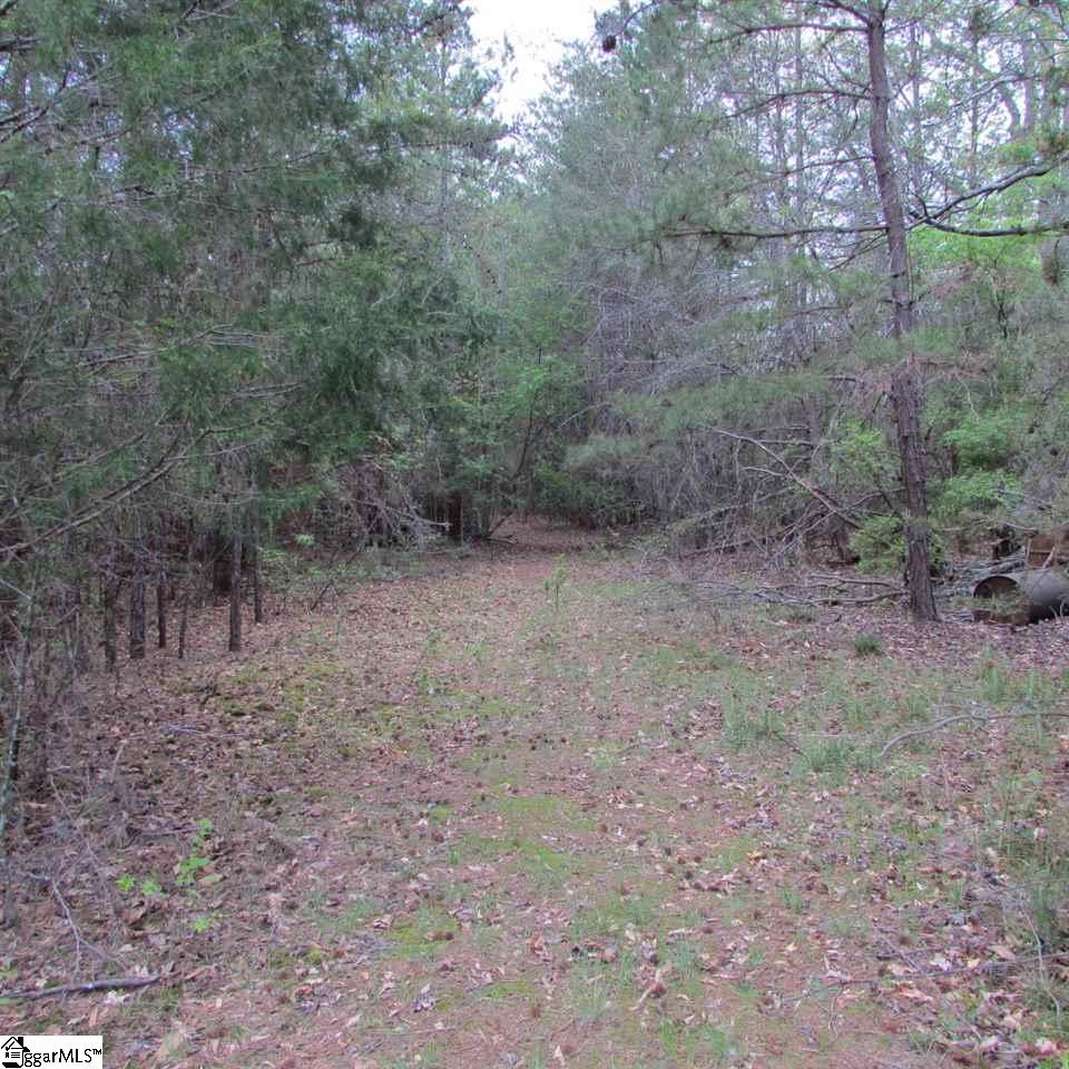 1520 Davis Road Woodruff, SC 29388 - Photo 10 of 26