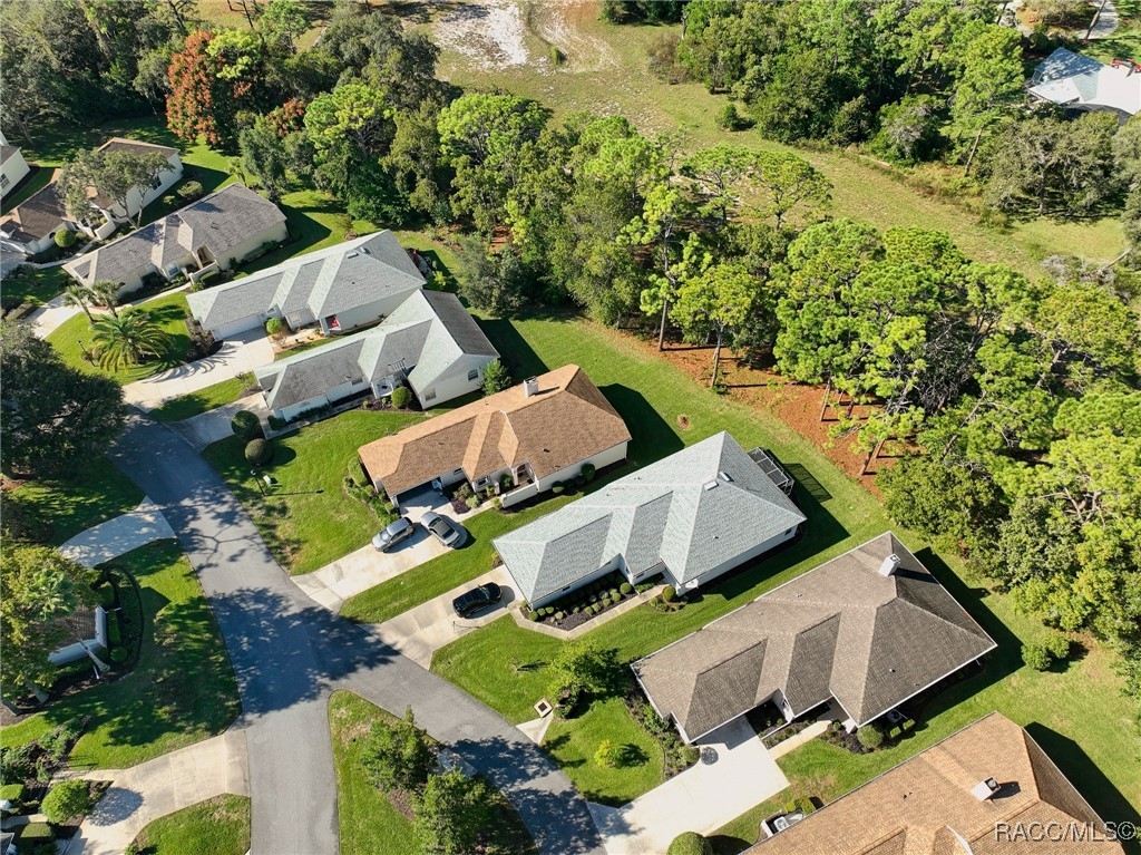 6 Byrsonima Loop Homosassa, FL 34446 - Photo 43 of 48 AERIAL VIEW OF THE NEIGHBORHOOD
