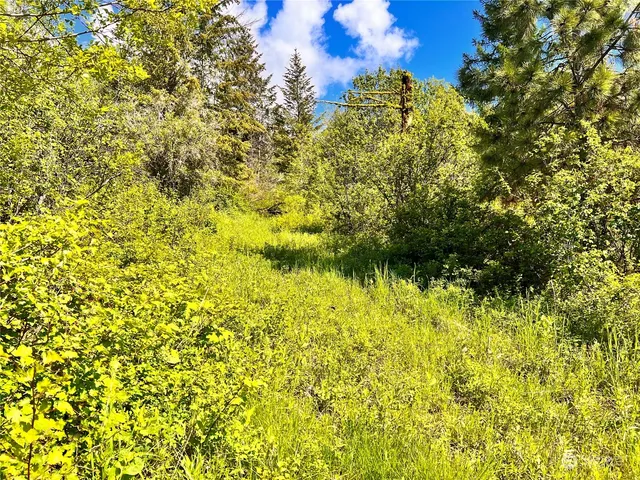 a close up of a plant