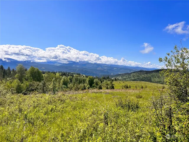 a view of a lake with a mountain