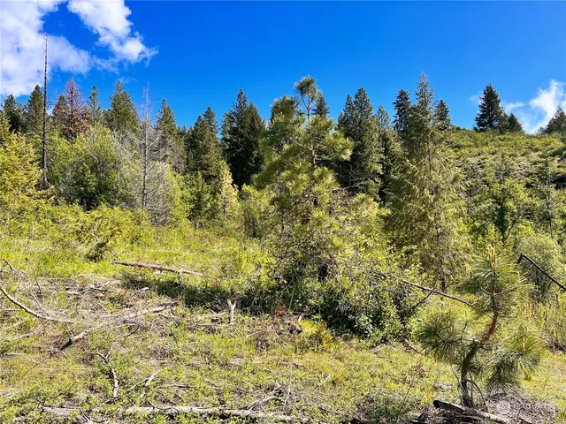 $159,900 | 44 Moonlight Drive, Curlew, WA 99118