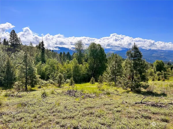 $159,900 | 44 Moonlight Drive, Curlew, WA 99118
