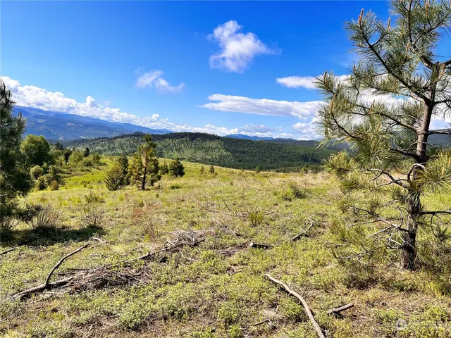 $159,900 | 44 Moonlight Drive, Curlew, WA 99118