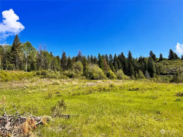a view of a yard with swimming pool and trees in the background