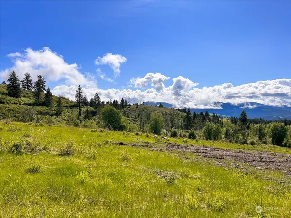 a view of a lake with a mountain