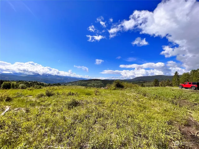 a view of a golf course with a tree