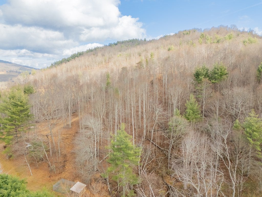 451 Summerfield Road Independence, VA 24348 - Photo 94 of 100 Gallery Image 94