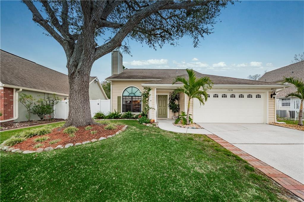 7238 Hummingbird Lane New Port Richey, FL 34655 - Photo 1 of 1 Front of House