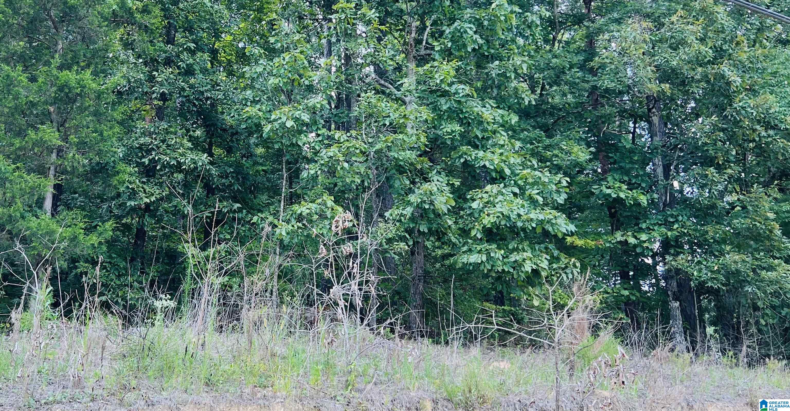 8714 Old Tennessee Pike Road, Unit 4 002 Pinson, AL 35126 - Photo 1 of 1
